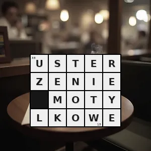 Hasło krzyżówkowe rodzaj niekonwencjonalnego usterzenia samolotu w którym tradycyjny poziomy lewy i prawy ster wysokości oraz statecznik pionowy ze sterem kierunku zastąpione są przez tylko dwa stateczniki z powierzc - usterzenie motylkowe – rozwiązanie, synonimy, podpowiedzi i definicje krzyżówkowe